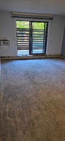 1 br Apartment Downtown - Photo 2