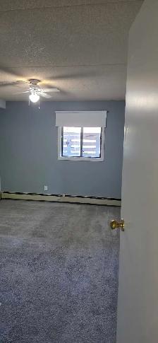 1 br Apartment Downtown - Photo 10