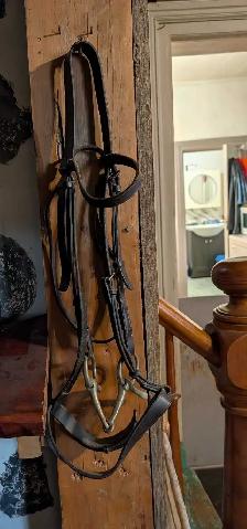 leather horse halter and horse bridle