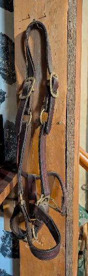 leather horse halter and horse bridle - Photo 2