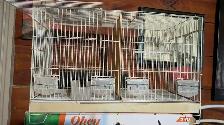 breeding nesting bird cage