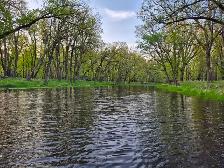 For Sale By Owner - 68 Acre Property in Southern Manitoba - Photo 24