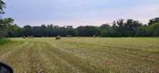 For Sale By Owner - 68 Acre Property in Southern Manitoba - Photo 26