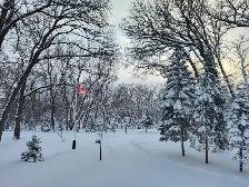 For Sale By Owner - 68 Acre Property in Southern Manitoba - Photo 28
