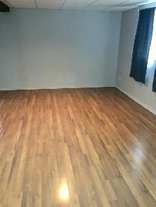Spacious 2 Bedroom Basement Suite in Tuxedo - Photo 4