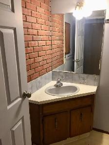 Spacious 2 Bedroom Basement Suite in Tuxedo - Photo 7