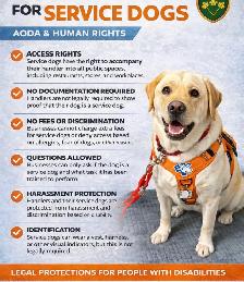 NEW!! PROFESSIONAL DOG TRAINING AND SERVICE DOG TRAINING - Photo 5