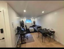 1 Bed 1 Bath Appartment