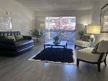 Aug 1 or Sep 1 / LG 1 Br / Furnished/ 6-9 Mths/ 10 walk to Cap U - Photo 3
