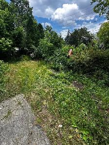 Junk removal and clean up - Photo 4