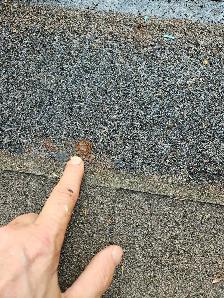 Looking for a PARTNER  in a Roofing Business - Photo 3