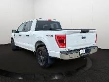 2023 Ford F-150 XLT | Accident Free CarFax | - Photo 4
