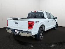 2023 Ford F-150 XLT | Accident Free CarFax | - Photo 6