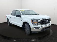 2023 Ford F-150 XLT | Accident Free CarFax | - Photo 8