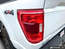 2023 Ford F-150 XLT | Accident Free CarFax | - Photo 14
