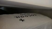Soft (mint condition) Sealy Mattress - Photo 7