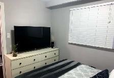 1 Bed, 1 Bath - Beautiful and Bright - - Photo 4