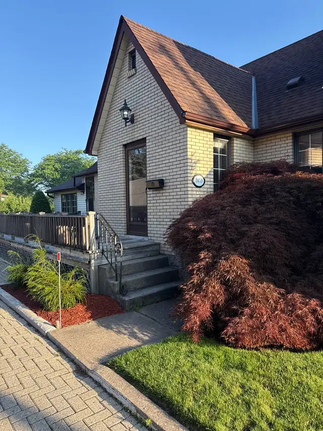 1 bedroom apartment north end for rent