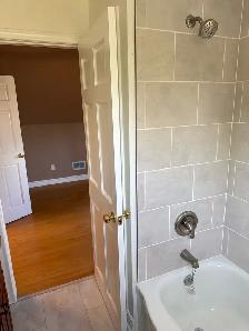 1 bedroom apartment north end for rent - Photo 8