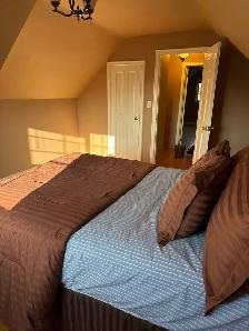 1 bedroom apartment north end for rent - Photo 10