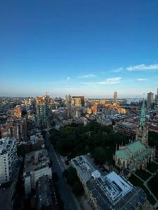 Luxury 550 Sq. Ft. High-Floor 1BR | Lake Views | Spire Condos | - Photo 2
