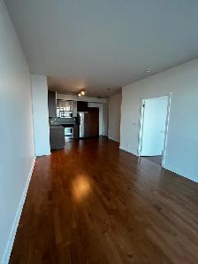 Luxury 550 Sq. Ft. High-Floor 1BR | Lake Views | Spire Condos | - Photo 4