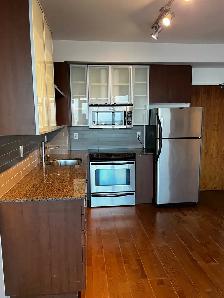 Luxury 550 Sq. Ft. High-Floor 1BR | Lake Views | Spire Condos | - Photo 5