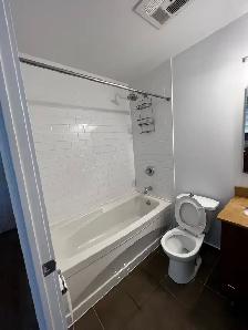 Luxury 550 Sq. Ft. High-Floor 1BR | Lake Views | Spire Condos | - Photo 10