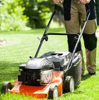 lawn cutter