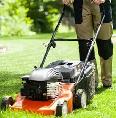 lawn cutter