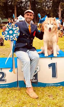 Huskies Sibériens - Photo 2