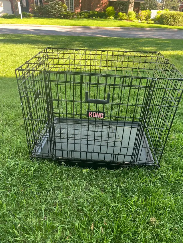 dog crate