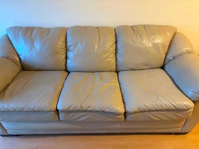 Leather couch
