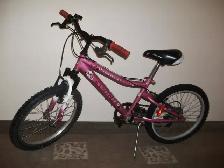 Kids 20' Bikes - Photo 4