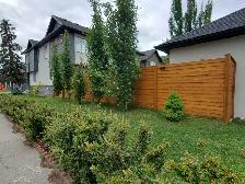 Decks, fences, renovations, window/door replacement - Photo 5