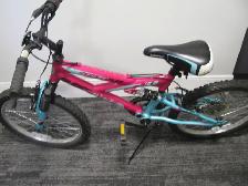 20 inch supercycle 5 speed bike