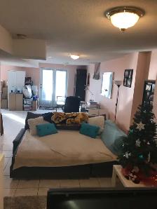 Bright Walkout - on a Ravine, 2 Bed 1 bath - Photo 3