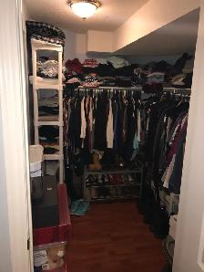 Bright Walkout - on a Ravine, 2 Bed 1 bath - Photo 7