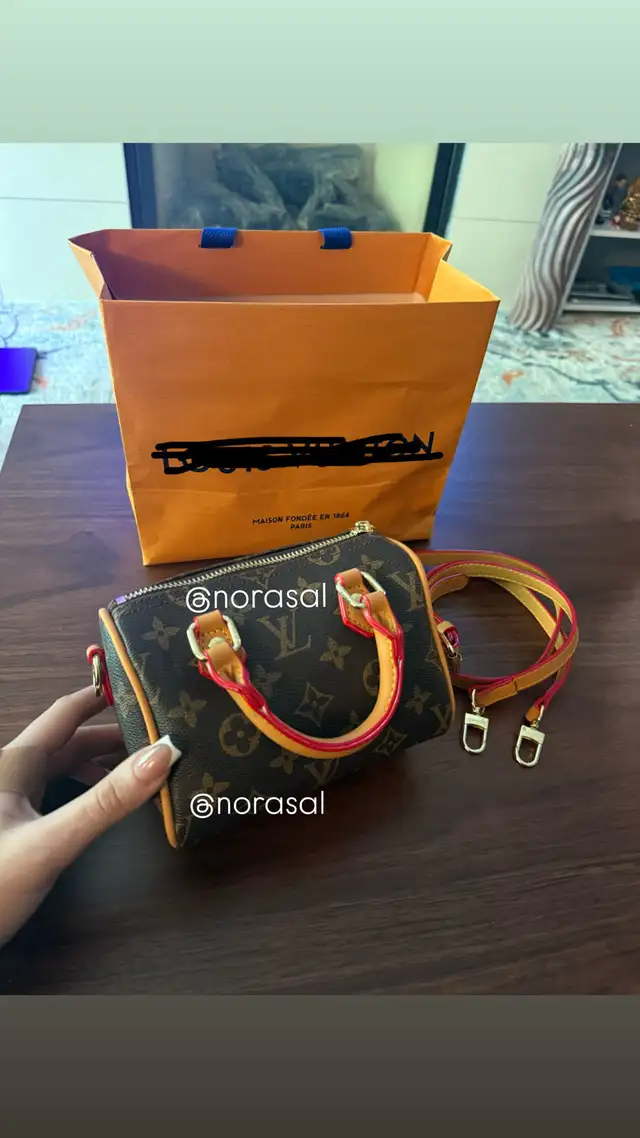 louis vuitton speedy handbag