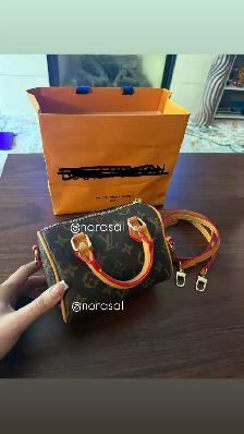 louis vuitton speedy handbag