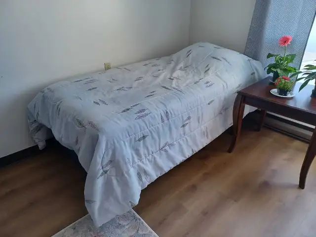 Twin Eurotop Mattress and Frame