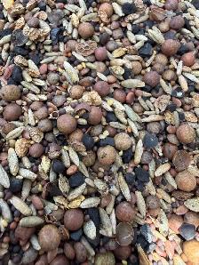 mixed forage blend - Photo 3