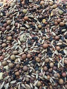 mixed forage blend - Photo 4