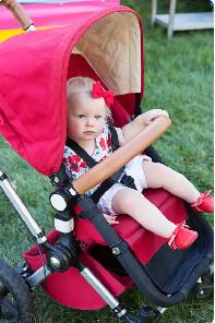 Bugaboo Frog Stroller - Photo 3