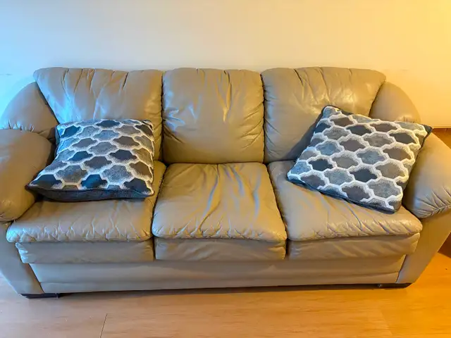Leather couch