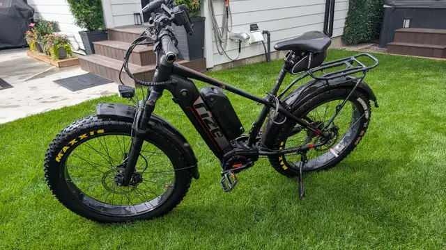 Rize RS Pro Fat Bike E-Bike