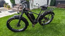 Rize RS Pro Fat Bike E-Bike