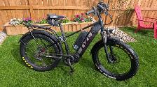 Rize RS Pro Fat Bike E-Bike - Photo 2