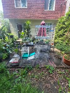 cages et accsoires pour oiseaux exotiques