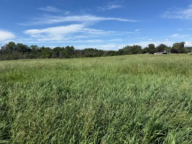Up to 50 Hay Barrels, Organic Farmland, Ready for Cutting